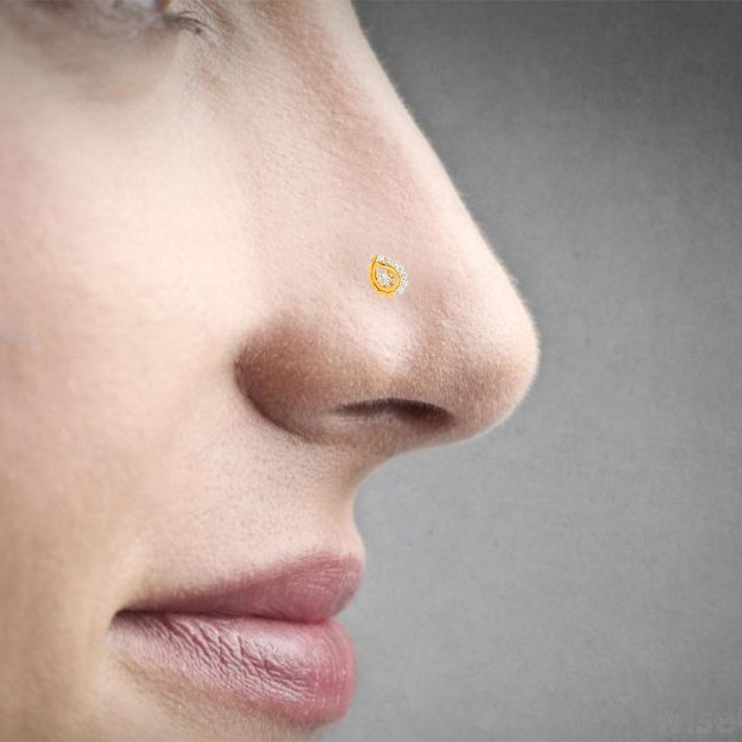 Paisley Shape Nose Pin